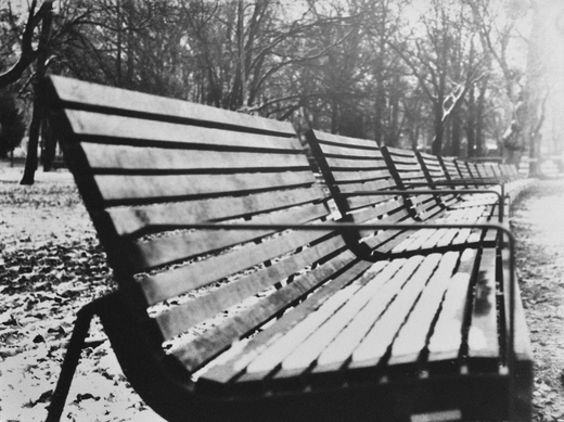 Dominika Galdunova, mestsky park.jpg