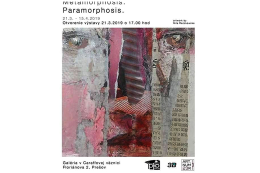 petres paramorphosis.jpg