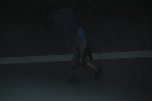 richard_sedlak_chodec_k43.png